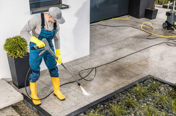 Best Roof Pressure Washing  in Reno, OH